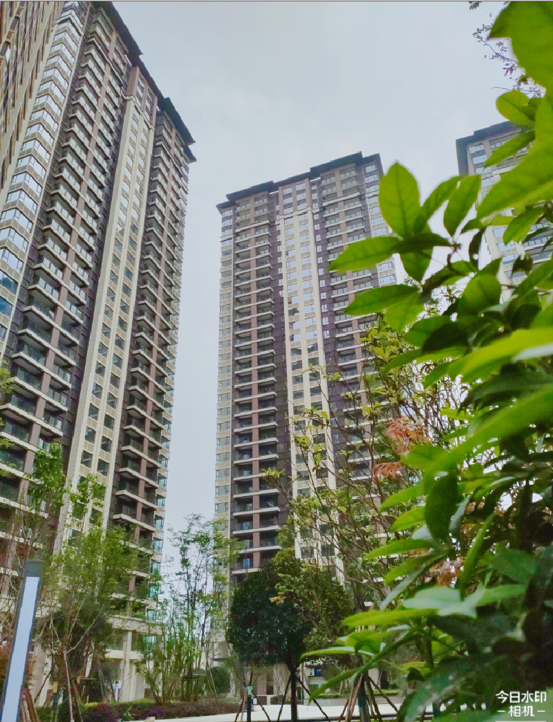 202104151618473590723880.png 79.png